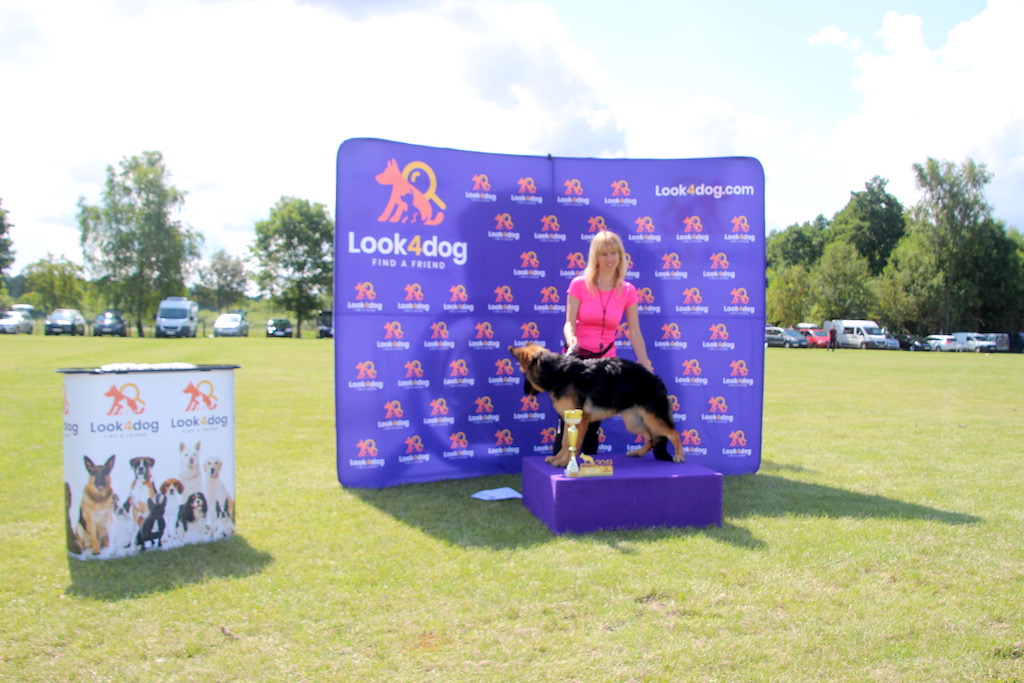 kobiet z owczarek niemiecki wystawa Rypin 2019