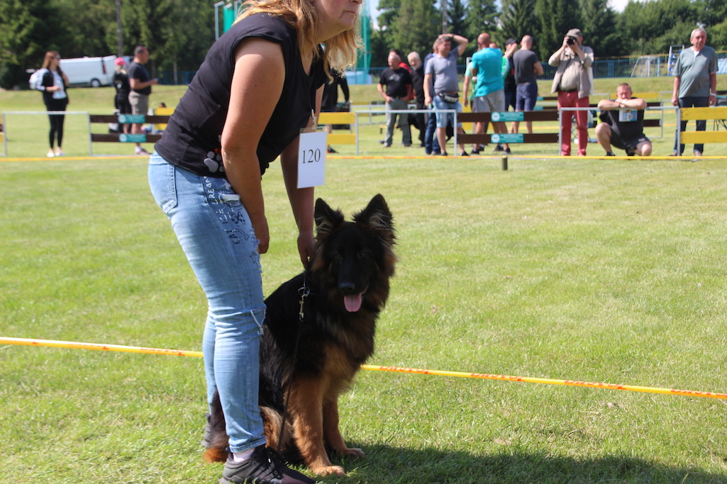 Pani z owczarkiem niemieckim Rypin 2019