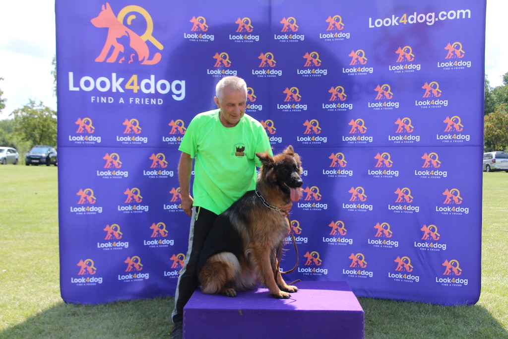 owczarek niemiecki Rypin 2019 KWON