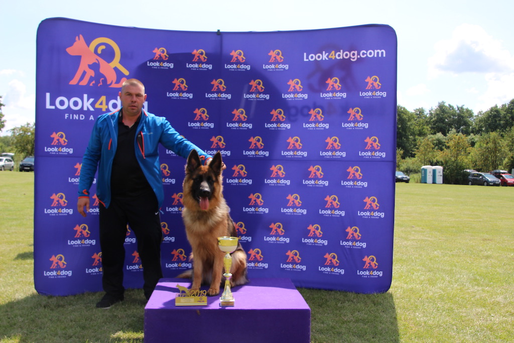 owczarek niemiecki na podium Krajowej Wystawy Owczarków Niemieckich Rypin 2019