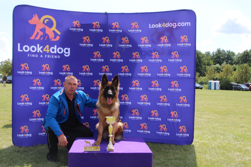 owczarek krótkowłosy Rypin 2019 zdjęcie