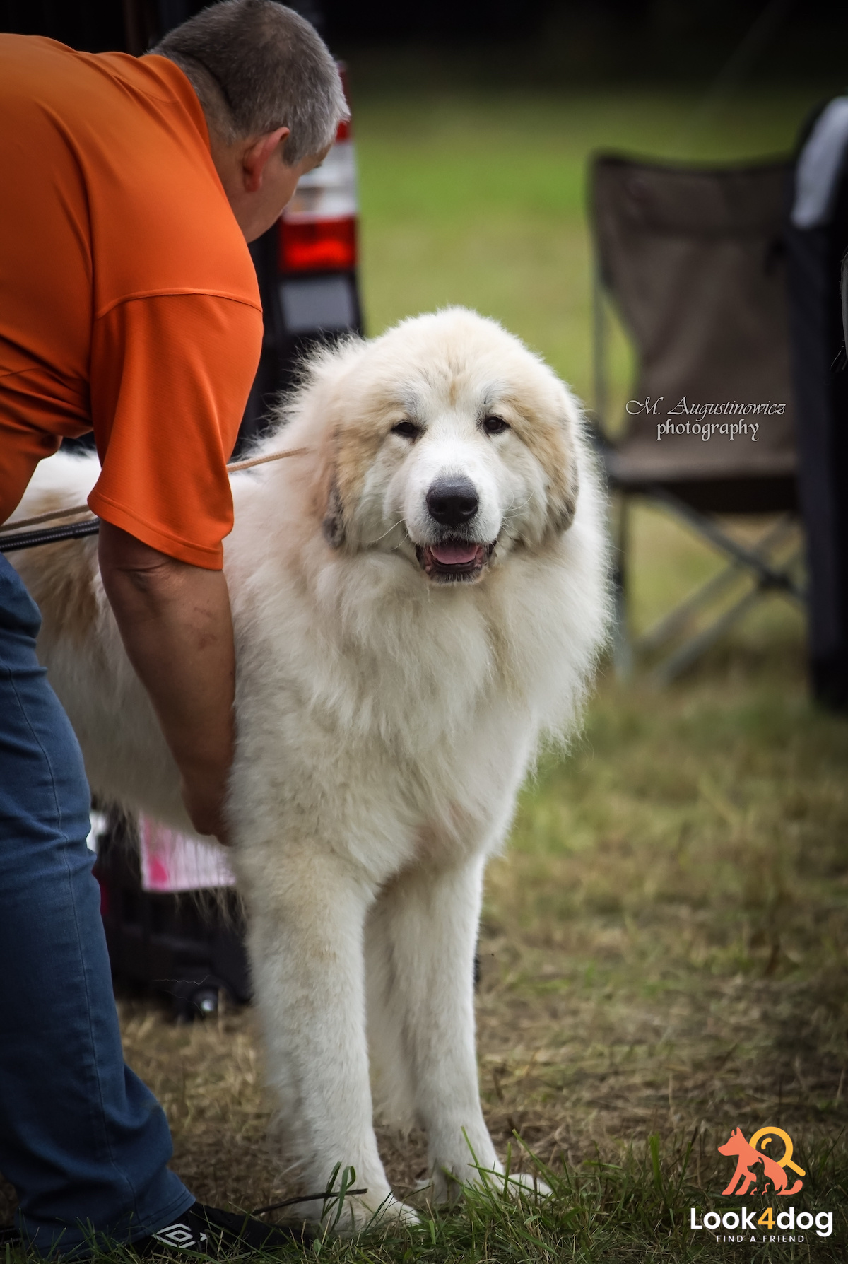 wystawa Łomianki 2021 