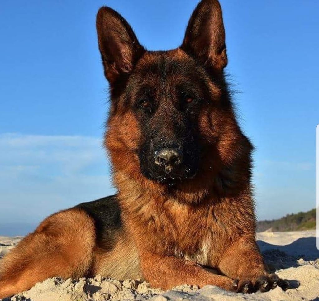 Alexander Leidenschaft-Poland zdjęcie