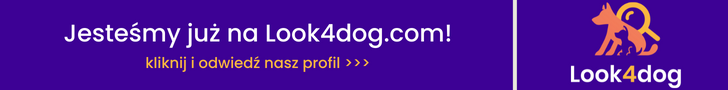 Program - Jesteśmy na Look4dog.com!