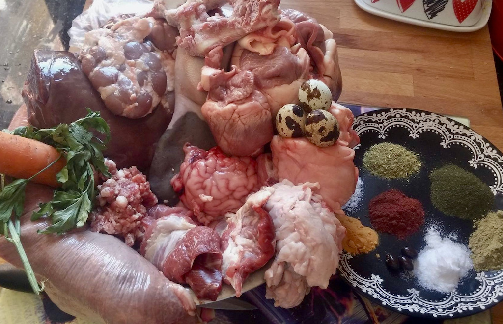 Żywienie psa - dieta Barf