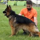 ZORRO z Tomickich Lasów