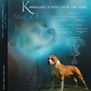 Karballido Staffs Taste The Fame