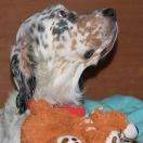 КАМ ХАНТИНГ ЕНА