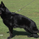 Ultimatum von Ducati