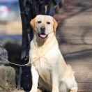 IRISLAV OWN FASHION IN MILEND`S