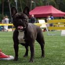 BB QUEEN Z BLUESOWEJ KRAINY