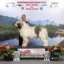 Greuceanu Roua de Partos