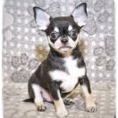 All At Once Emerald In Gold