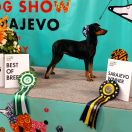 Blackthumb Frisby aetOldLimes 