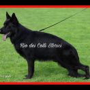 Rio dei Colli Storici (właściciel - Natalia Talasz) 