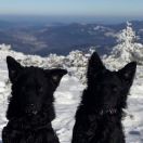 CASSIOPEIA Peryhelium