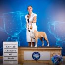 Lucky&Strong Hera Heureka 