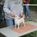 ВИКТОРИ ОЛЛ ТРИУМФ ОФ ДЭЙ ВИННЕР