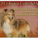 J.Ch.Pl., Ch.Pl. KEYTI z Kojca Coli