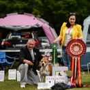 ALPINE'S STAR LORD POKEROWY ZYWOT