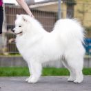 Mishka na Severe EVENT HORIZON 