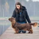 LADDIE Alessie Angels