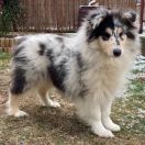 MONSOLANA Ranibow Sky