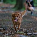 U'RE MY TREASURE Jumping Hunters 