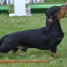 BENJAMIN z Łobuzerskiej Ferajny