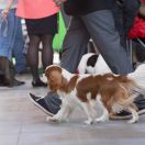 ADDICTED TO YOU-POEZJA Begret