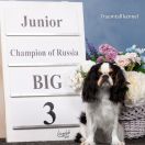 JCh Russisch Geist Elina