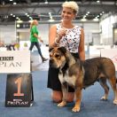 Espada Del Conquistador BHATA