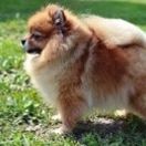 MŁ.CH.Pl. KSARA Wspólny Dom 