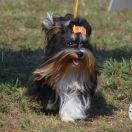 GRACIOZA Impressive Lady 