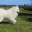 HEMINGWAY Iz Moskovskoy Metely