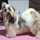 Anabel Legenda SHIHMANI 