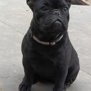 MERIDA THE BRAVE Airawata