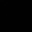 GALAX Sfora Zołzy FCI 