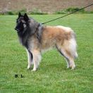 Nesko de la Source du Montet