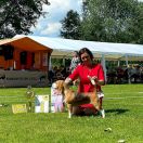 Alotorius Old Glory WATCH OUT BOYS