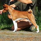 Butebo Chanzo Cha Nile