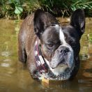 AUGUSTYNKA z Krainy Szczescia