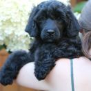 Special Vero Claircreek Call Me Cute