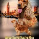 Houp Breed Master Men