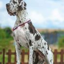 ERSILIA-A DELLA TORRE DI VELIA 