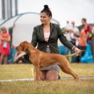 Venari Venti VISTULA