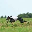 Borzomir Basel Akmal