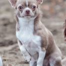 Barbie Avenir Meilleur 