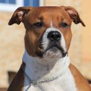 ★Nirvana Rock Star from Skytown ★