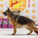 List aus Garten Cheremuha